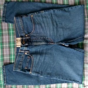 Everlane authentic stretch high rise skinny jeans